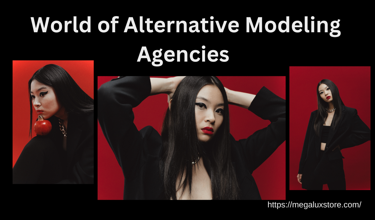 Alternative Modeling Agencies